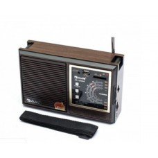 Радіоприймач Golon RX-9933-UAR