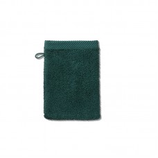 Рушник-рукавичка Kela Ladessa 23272 15х21 см зелені альпи