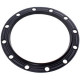 Прокладка під фланець для бойлера Drazice 6273129 D=170/230mm