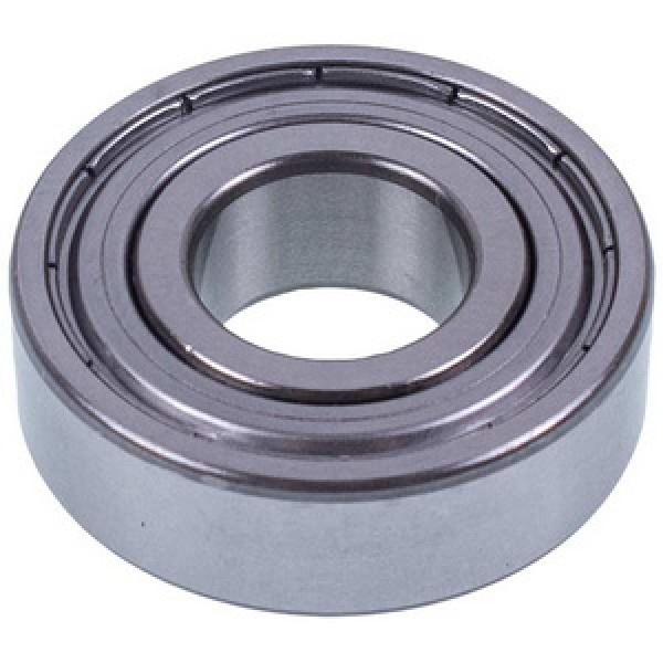 Ремонтний набір (сальник 25*50*9/11mm + підшипники 203/204 + змазка) Beko