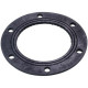 107751 Hi-Therm Прокладка під фланець D=80.5/125mm для бойлера