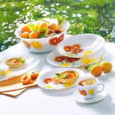 Сервіз столовий Luminarc Marguerite C1189 25 предметів