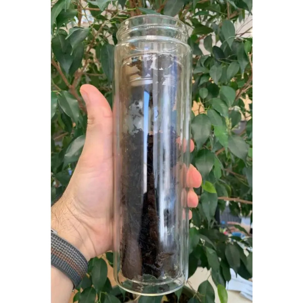 Термос скляний з подвійною стінкою Kamille KM9021 450 мл