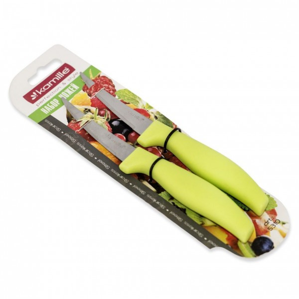 Набір ножів 2 предмета з нержавіючої сталі з пластиковими ручками (лезо 8 см) Kamille (a5310)