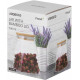 Банку для зберігання Ardesto Fresh Конус AR-1374-BLС 740 мл