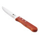 Набір ножів для стейків Bergner Bbq lovers BG-40201-MM 4 предмети
