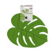 Підставка під гаряче Krauff Monstera 29-305-079 22х17 см зелена