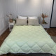 Ковдра двоспальна стьобана зимова з бамбукового волокна Leri Max Bamboo 21452 180х210 см салатова