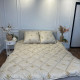 Ковдра євро зимова з вовни Leri Max Pure Wool 21502 200х215 см бежева