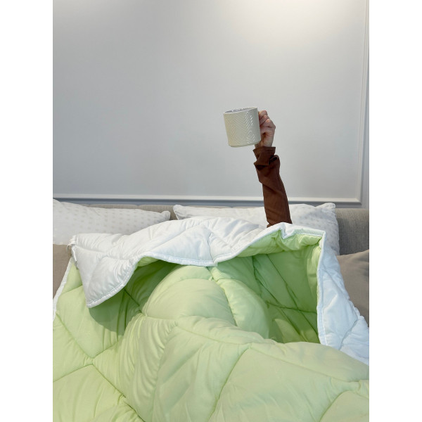 Ковдра полуторна стьобана зимова з бамбукового волокна Leri Max Bamboo 21451 150х210 см салатова
