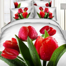 Постільна білизна 3D полуторна Love You Блиск STP558 97 160х220 см