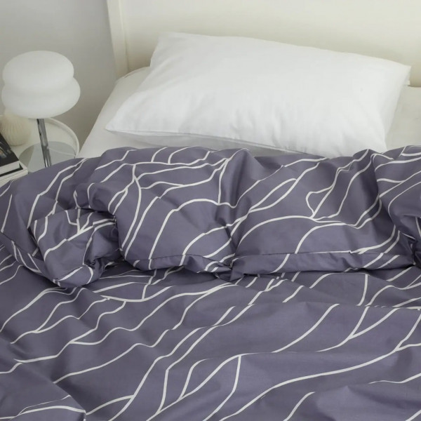 Підковдра ТЕП Horizon FR 2-04849_34308 200х215 см