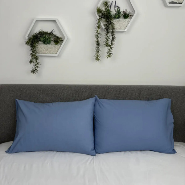 Комплект наволочок ТЕП 2-04788_34448 40х60 см 2 шт блакитний