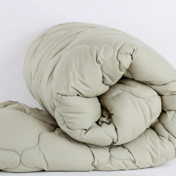 Ковдра євро ТЕП Duo Season 1-04744_35084 200х210 см оливкова