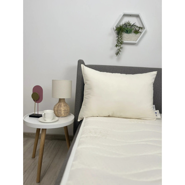 Подушка ТЕП Cozy Sleep 3-04571_00000 70х70 см молочна