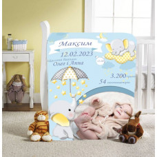 Плед 3D зі своїми побажаннями з метрикою Метриковий плед слоник пухнастик для хлопчика з 1 фото 20222383_C 11566 80х100 см