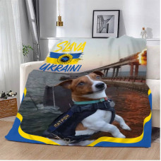 Плед патріотичний 3D Спалений Міст 12015 135х160 см