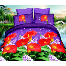 Комплект постільної білизни від українського виробника Polycotton 90933