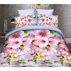 Комплект постільної білизни від українського виробника Polycotton 90927