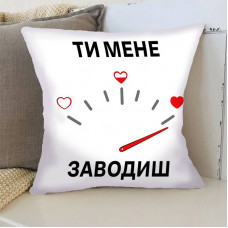 Подушка 3D Спідометр мого кохання 4393_E 17853 50х50 см