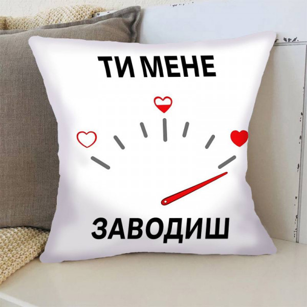 Подушка 3D Спідометр мого кохання 4393_E 17853 50х50 см