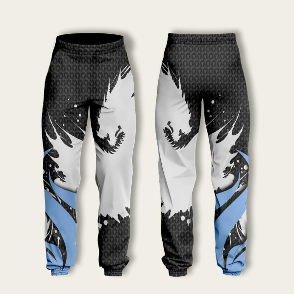 Костюм спортивний худі та штани з 3D принтом DRACON 30988 2XL