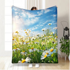 Плед 3D Весняні ромашки 16794 160х200 см