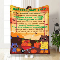 Плед 3D з побажаннями для сина Синочку осінній настрій 17064 160х200 см